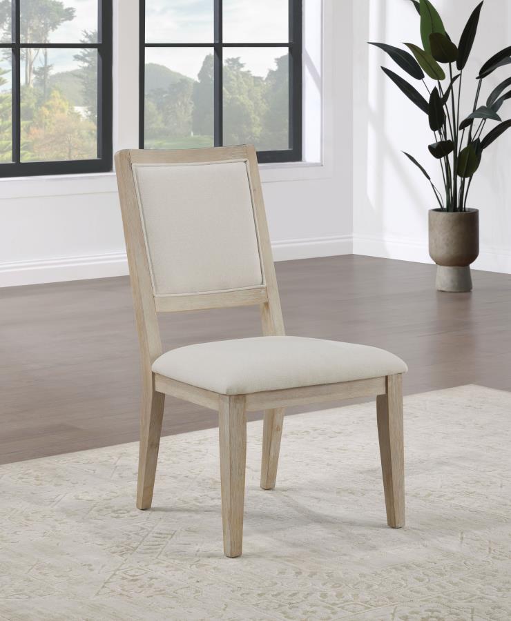 (image for) Trofello Cushioned Dining Side Chair White Washed (Set of 2)