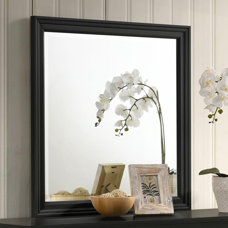 (image for) Sandy Beach Dresser Mirror Black