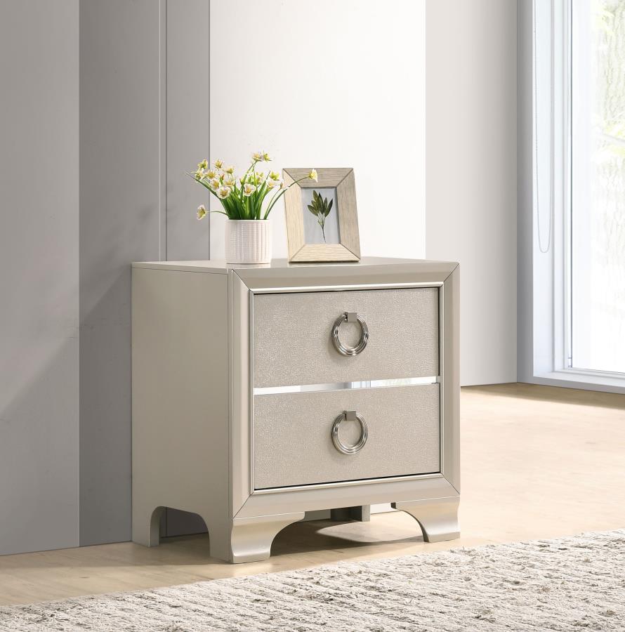 (image for) Salford 2-drawer Nightstand Metallic Sterling