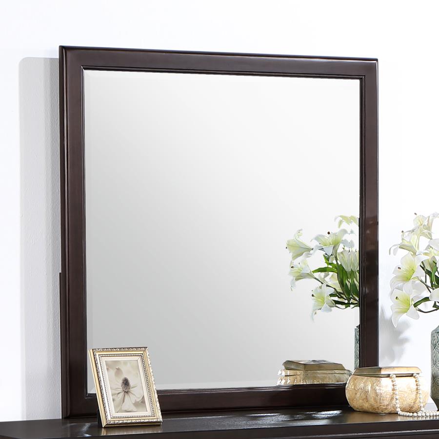 (image for) Emberlyn Dresser Mirror Brown