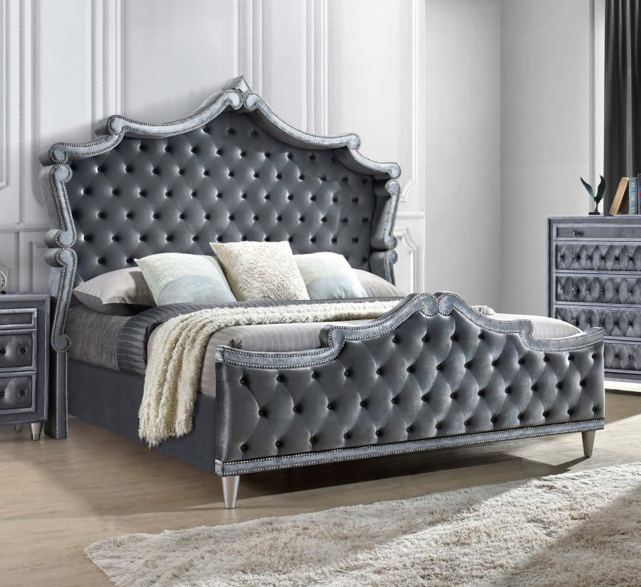 (image for) Antonella Upholstered Eastern King Panel Bed Grey