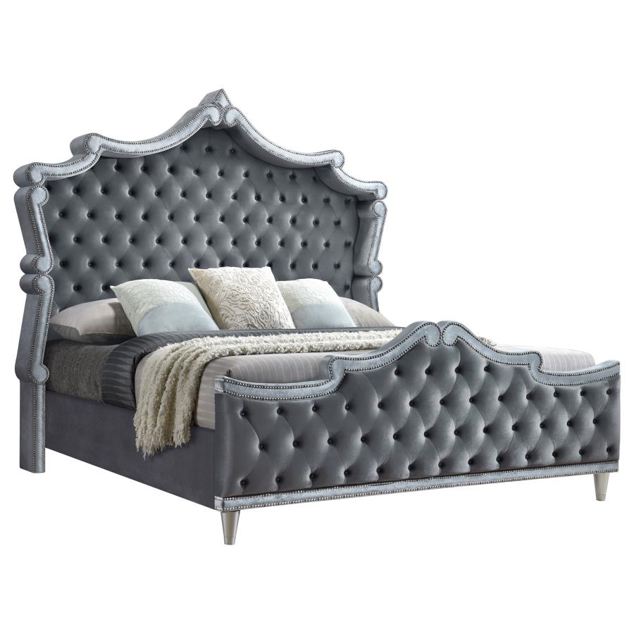 (image for) Antonella Upholstered California King Panel Bed Grey