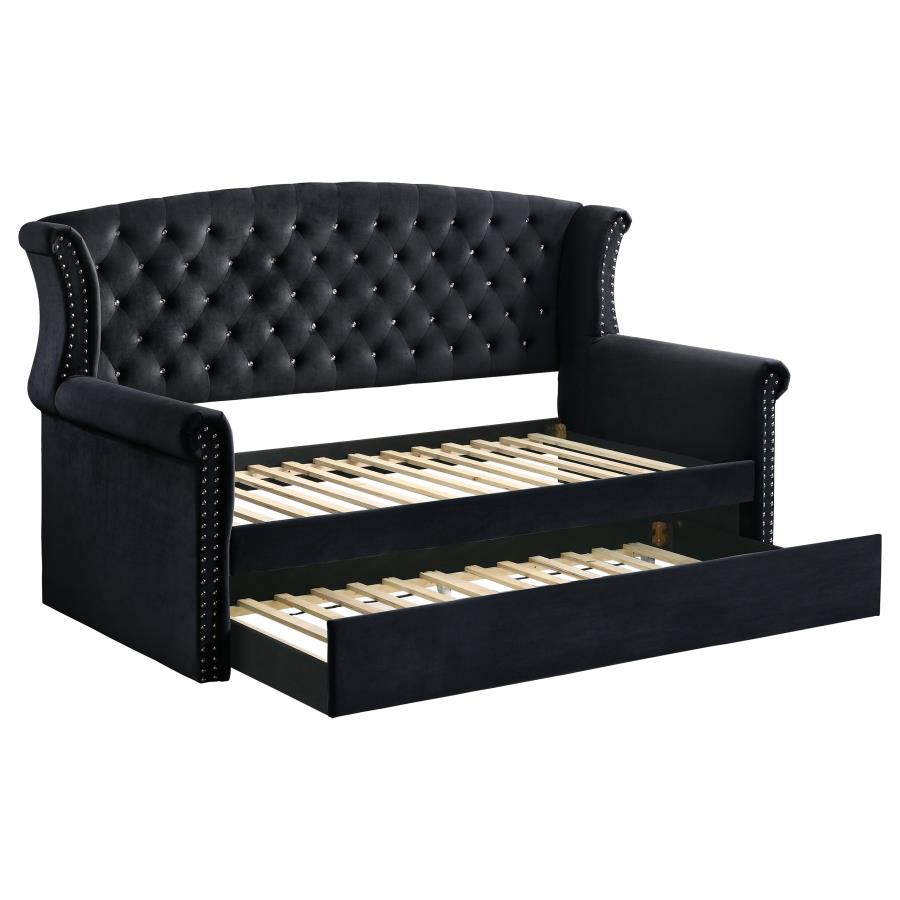 (image for) Scarlett Upholstered Twin Daybed with Trundle Black - Click Image to Close