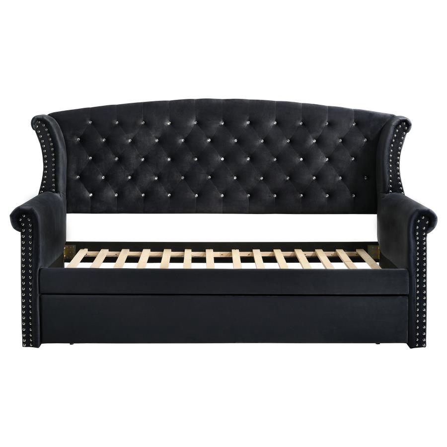 (image for) Scarlett Upholstered Twin Daybed with Trundle Black