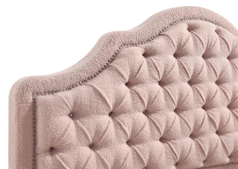 (image for) Ashleigh 44-inch Upholstered Twin Storage Platform Bed Pink