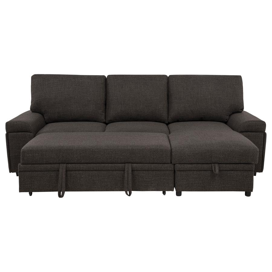 Demko Sleeper Sectional Sofa with Speaker and Storage Chaise Brown