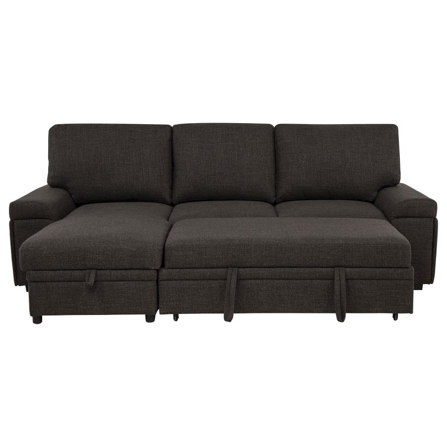 Demko Sleeper Sectional Sofa with Speaker and Storage Chaise Brown