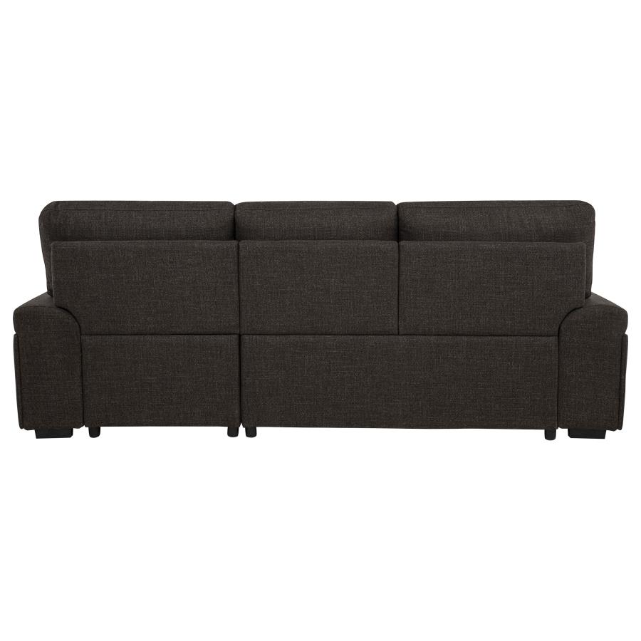 Demko Sleeper Sectional Sofa with Speaker and Storage Chaise Brown