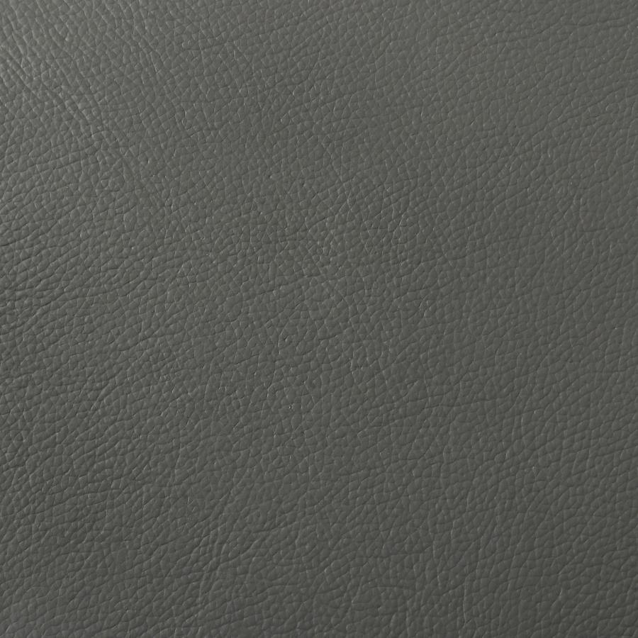 Buxton 2-piece Leather Upholstered Sofa Set Graphite