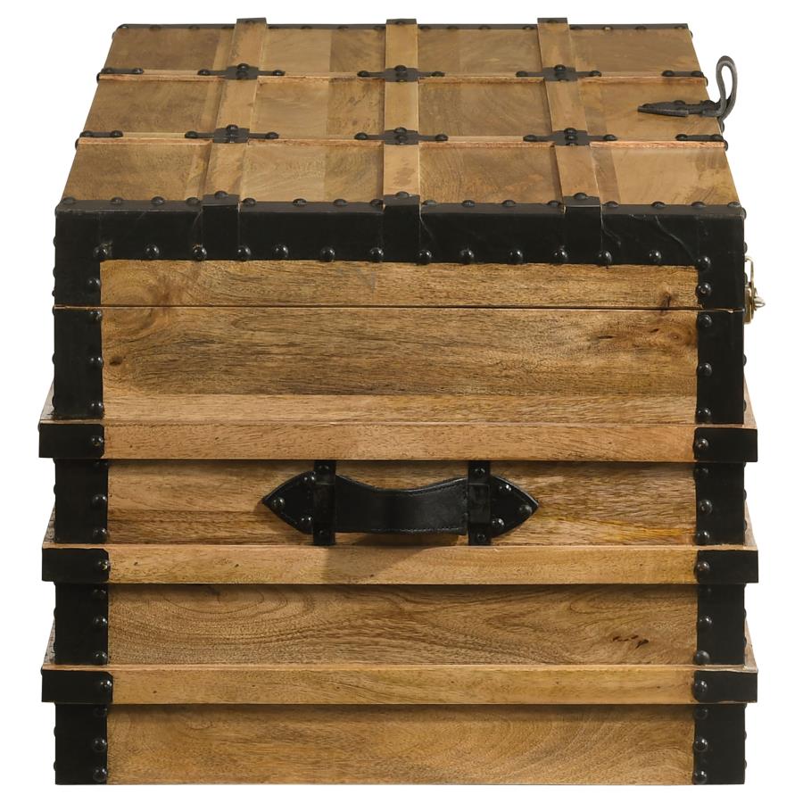 (image for) Simmons Wood Storage Trunk Natural and Black